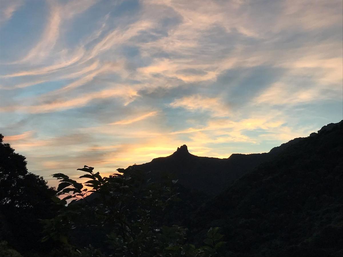 Jiufen Wangqin Sea View Homestay Dış mekan fotoğraf